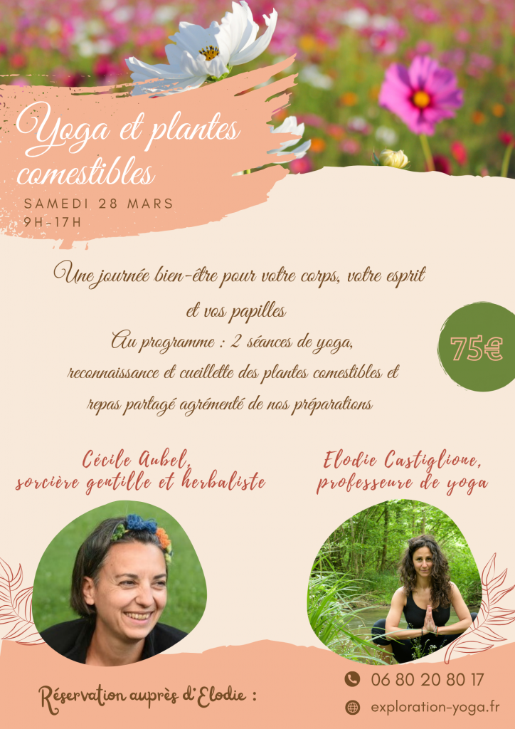 Journée plantes comestibles et yoga